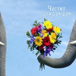 Честит рожден ден