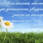 Пожелание за Рожден ден