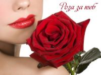 Роза за теб
