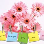 Честит рожден ден ти желая