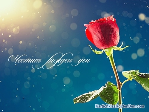 Честит рожден ден